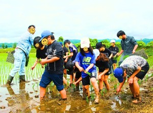 田植え～もう半分終了